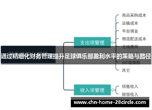 通过精细化财务管理提升足球俱乐部盈利水平的策略与路径