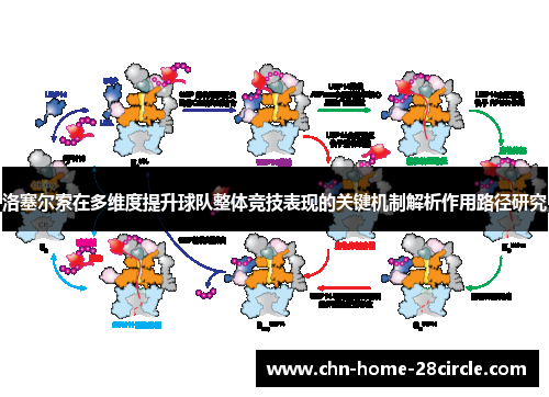 洛塞尔索在多维度提升球队整体竞技表现的关键机制解析作用路径研究