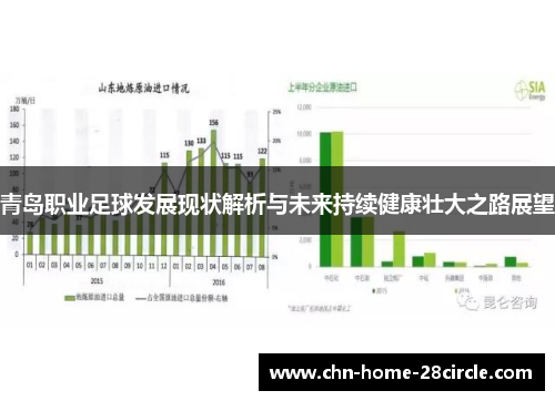 青岛职业足球发展现状解析与未来持续健康壮大之路展望